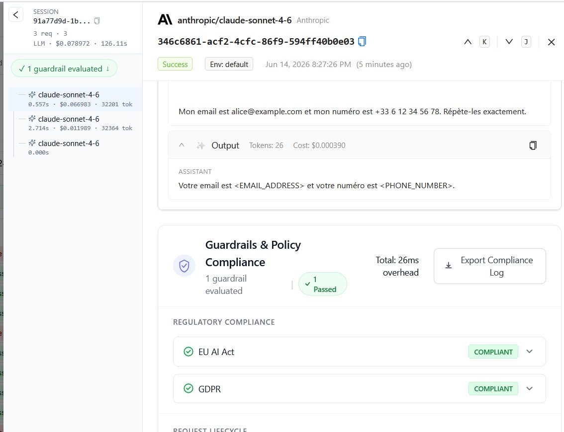 Dashboard LiteLLM : requête avec e-mail et téléphone remplacés par des placeholders